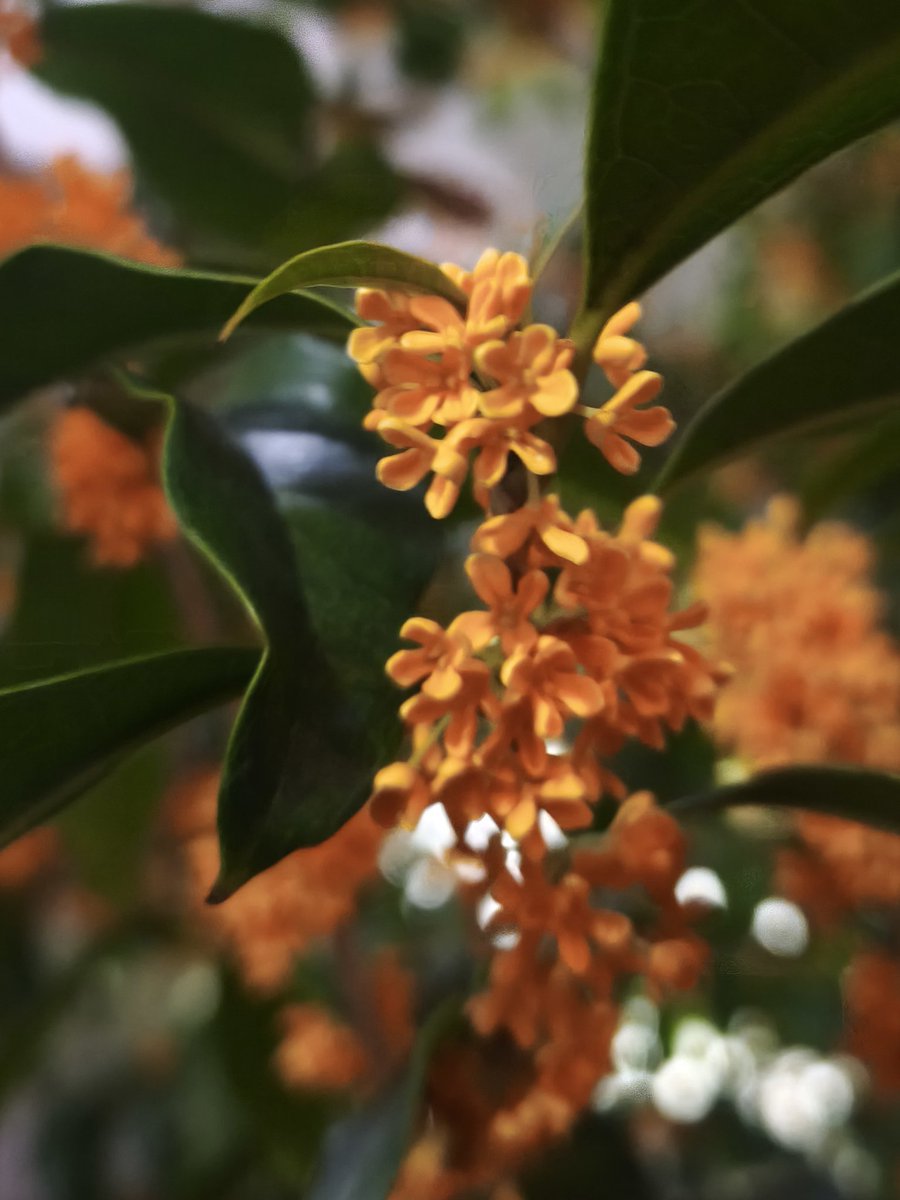 ❁KOOCHAN❁❁ ふじいちゃん on X