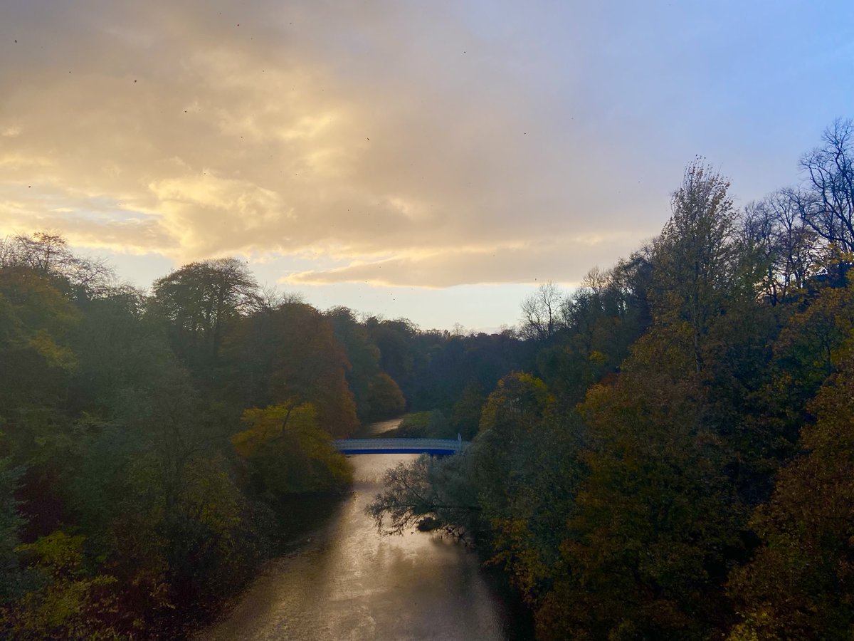 Welcome to autumnal Glasgow. A little shaken and stirred today. #treeclub