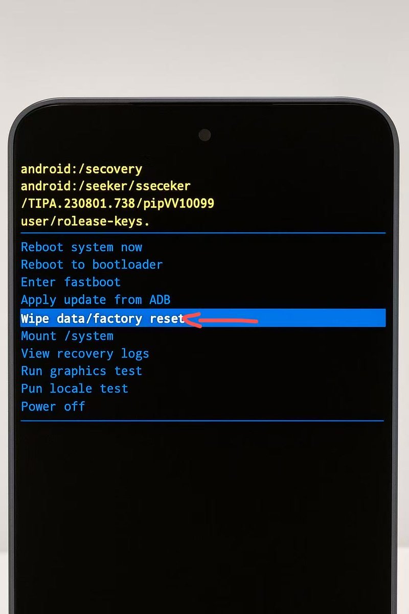 伯尼熊 tweet media