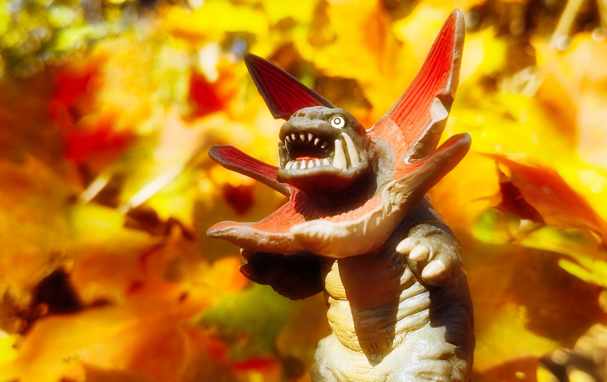 MoonShark4's tweet photo. "Autumn Petals"
Gabora
#Ultraman #Gabora #ウルトラマン #ガボラ https://t.co/X9TYA4jCLX