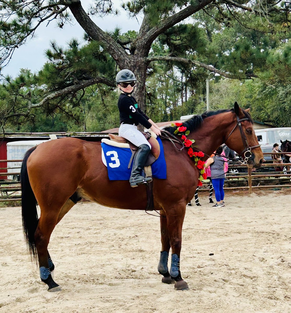 Starting them young! One of our little riders at our barn dressed up as Brian Hernandez Jr. and Mystik Dan for our Halloween show- proving dreams really do start in the barn. Grady is pictured here on her OTTB Cal Knox Jr (JC name Historically)💚🏴‍☠️ <a href="/KennyMcPeek/">Kenny McPeek</a> <a href="/b_hernandezjr/">Brian Hernandez</a>