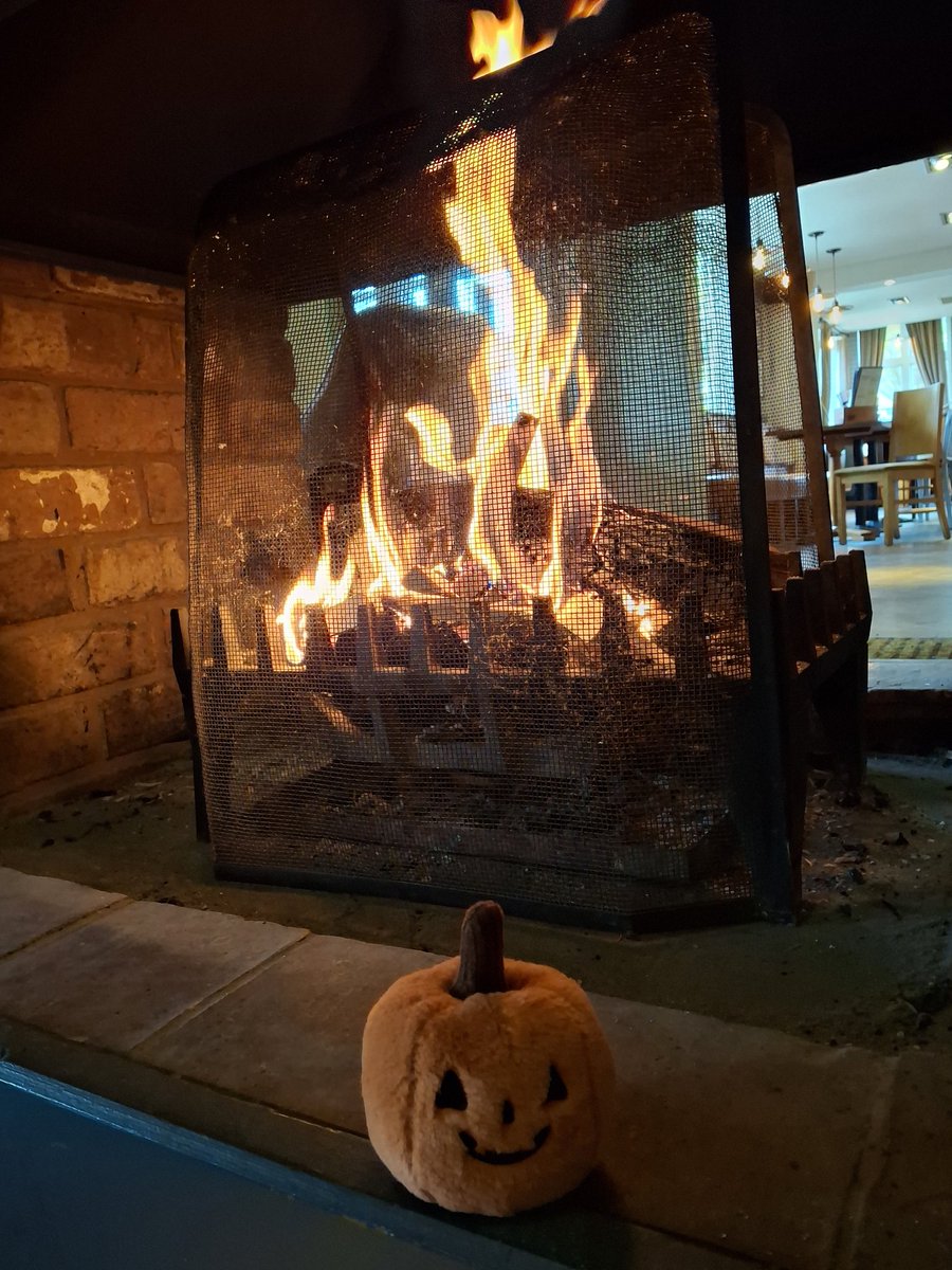 Janice Wright (@janice_wright) on Twitter photo Cosy Sunday ππ₯π Cosy Sunday ππ₯π