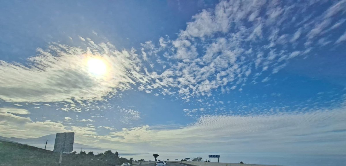 Mi madre no necesitaba una apps del clima. Le bastaba mirar al cielo y soltar: “Cielo empedrado, suelo mojado.” 

Mañana llueve seguro 😂😂😂