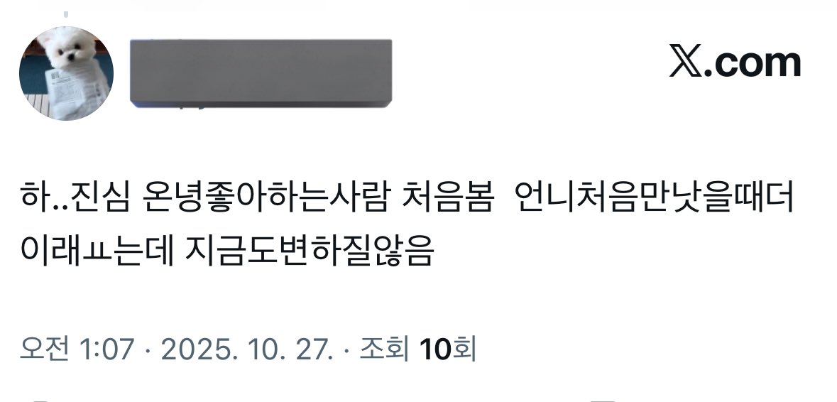 아부 (@agibooin) on Twitter photo 