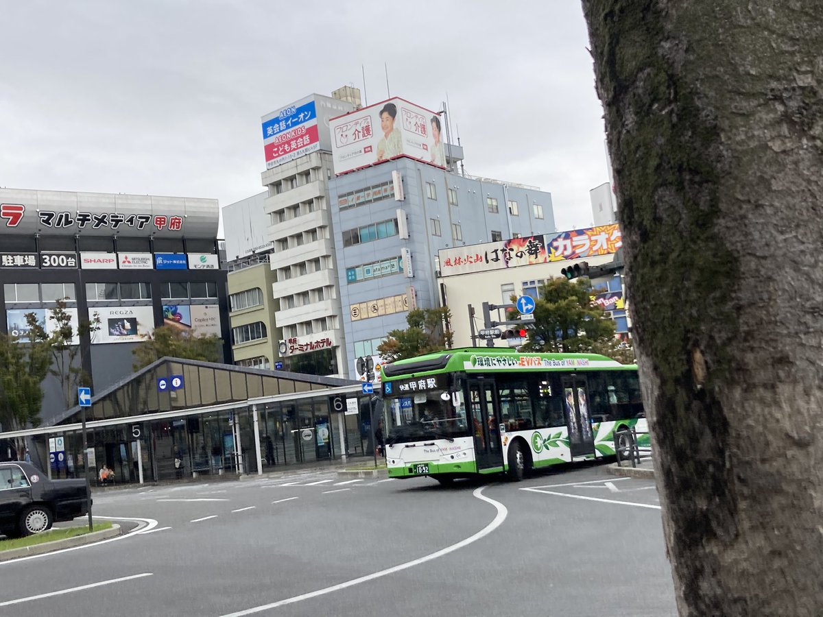 バカぴょん 50%OFFセール】pitori「鳥かくれんぼ」/ レディース傘 雨傘 長傘