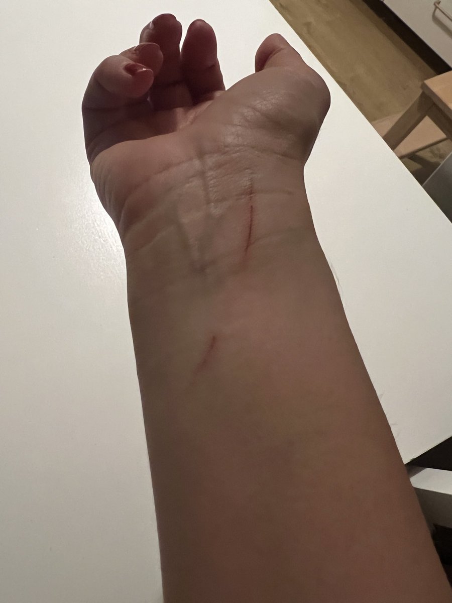 Ben Norveç, bu da benim sanatım.