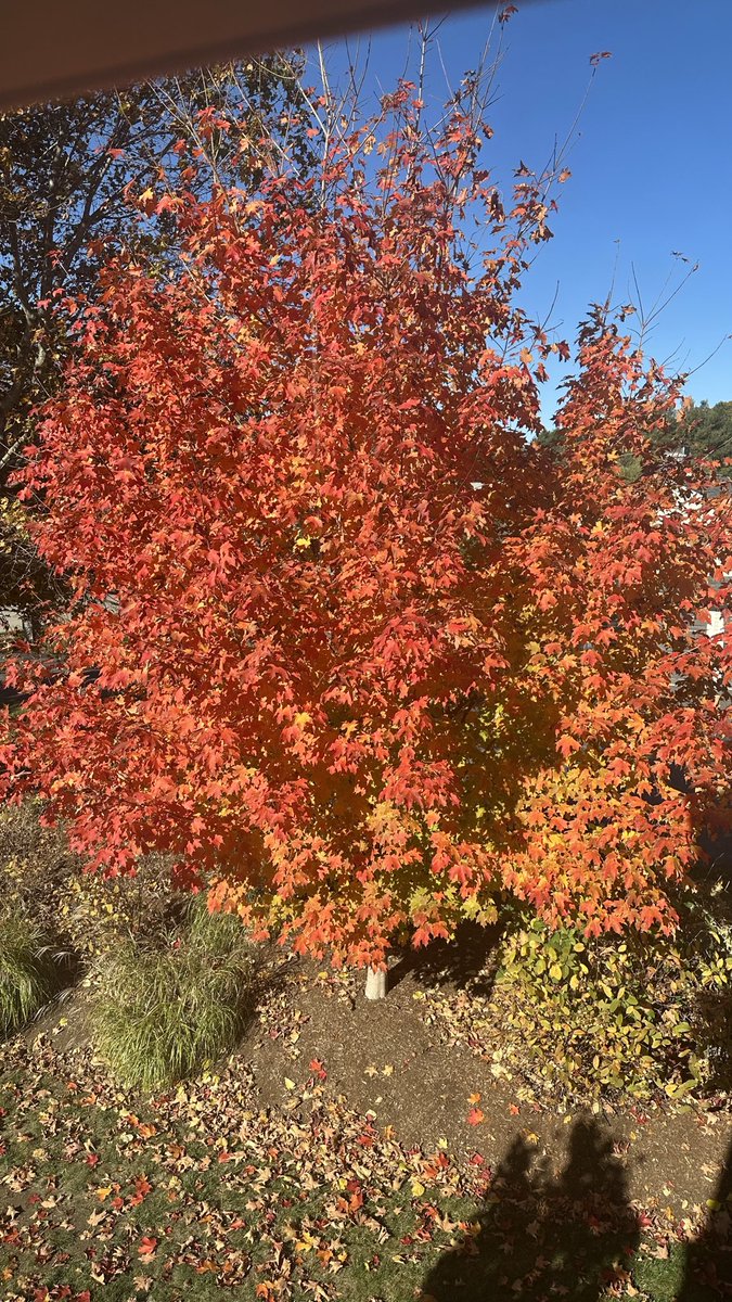 Toni Choueiri, MD tweet media