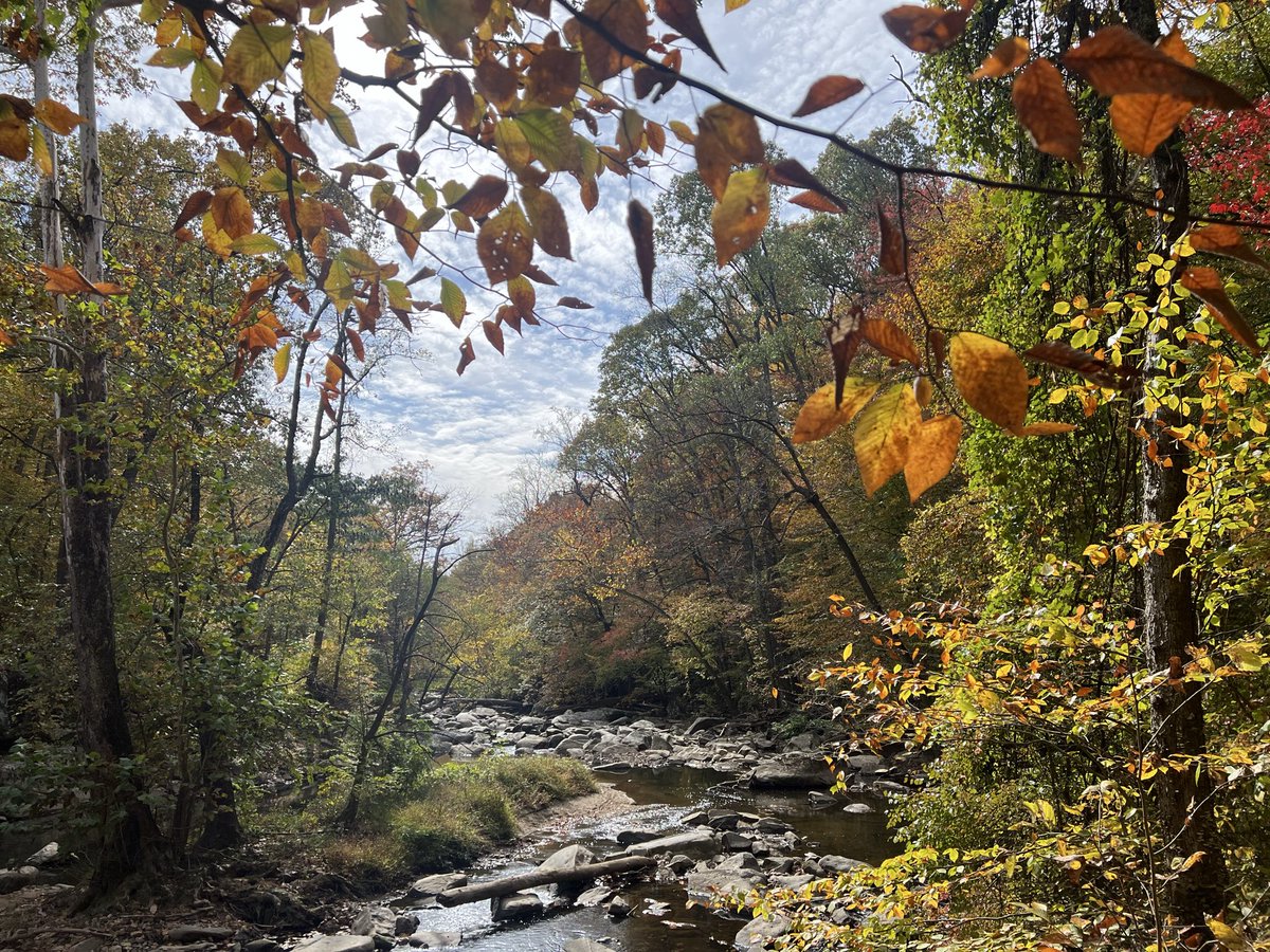 Leaves are starting to change.
