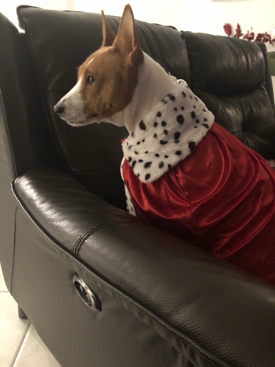 Carrie Garcia #CarrieChristmas #getCarriedaway tweet media