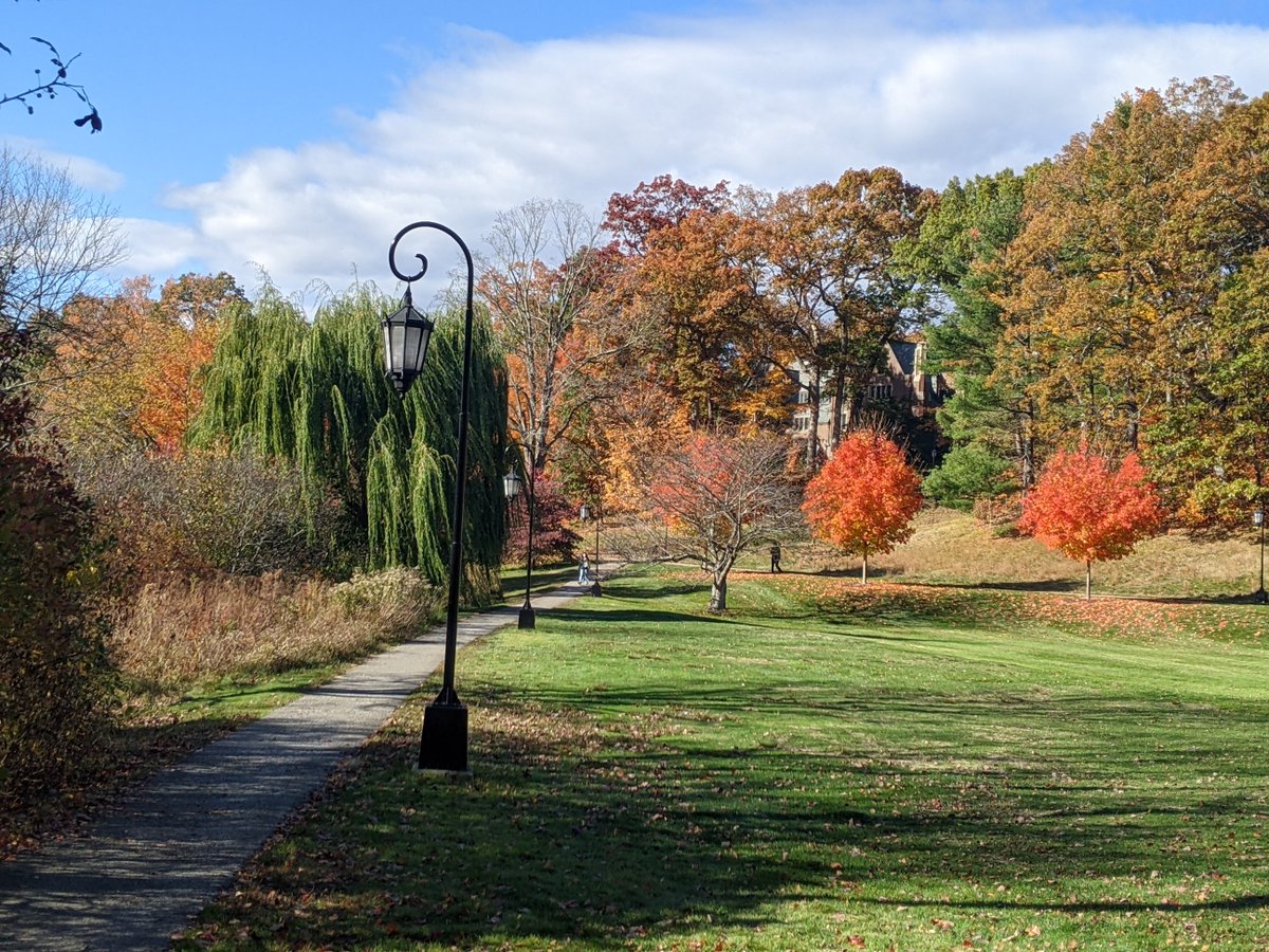 Kwan Kew Lai tweet media