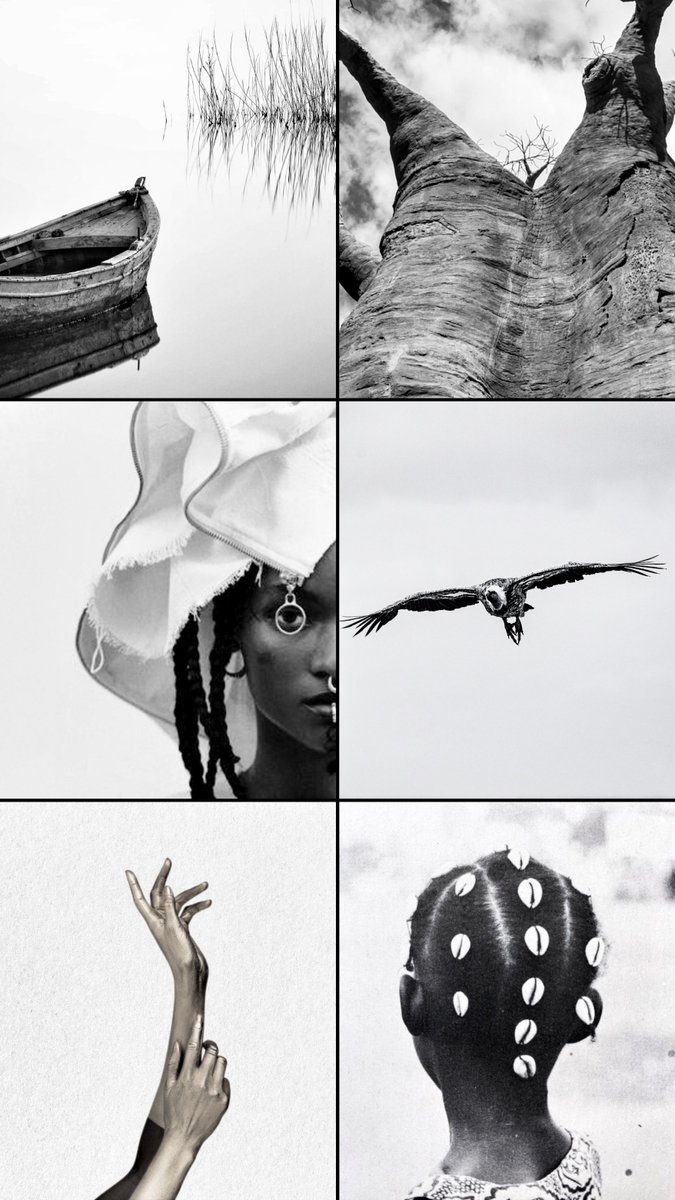 Heyy y’all! So it’s my birthday today (🥳🫠) and the greatest gift you could give me is to perceive/signal boost/read my writing?

En FR ma trilogie Teranga Chronicles est disponible à Plumes du Monde (link in bio for more info) et en anglais ça se passe ici <a href="/mdmoustaf/">Moustapha Mbacké Diop</a> 
Thanks 🫶🏿