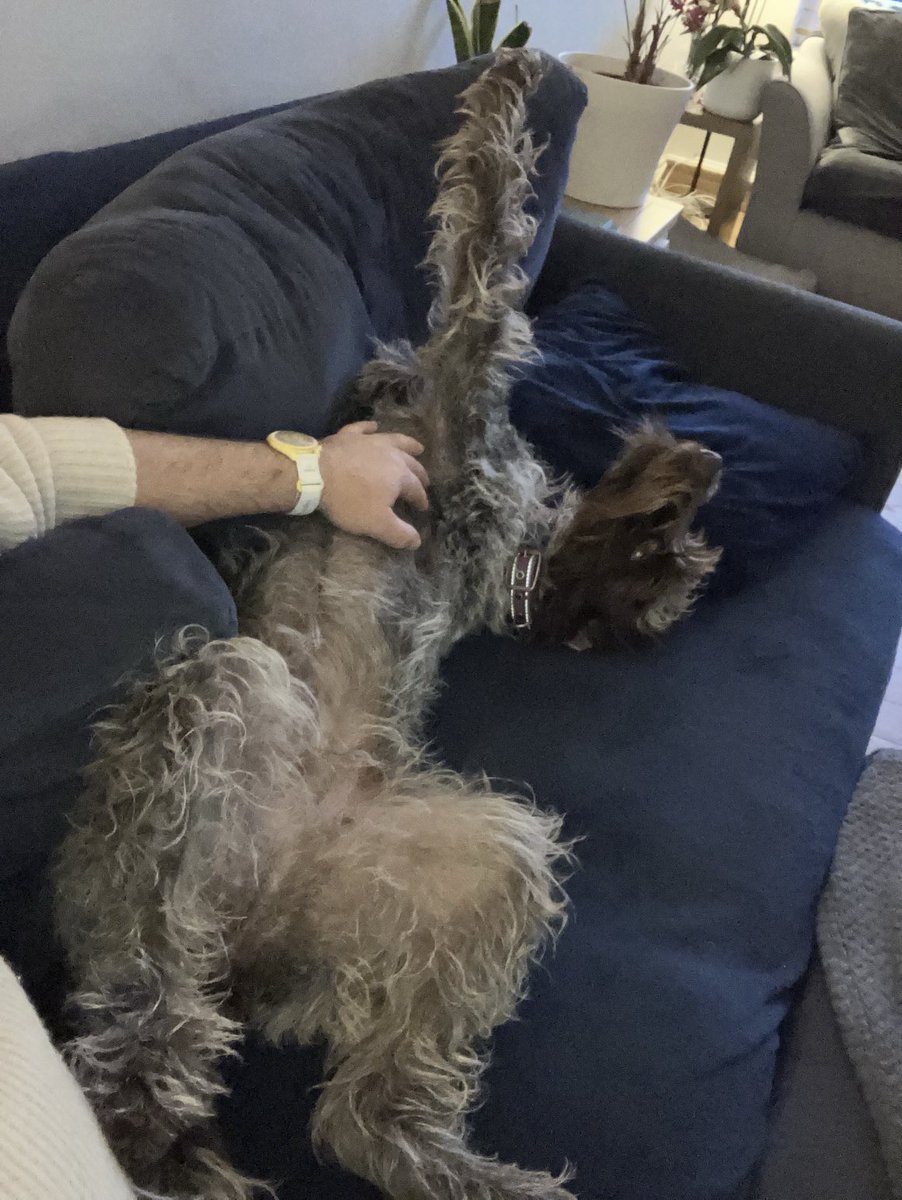 ndmaxwell's tweet photo. Chillin’ https://t.co/fXj0EO3s66