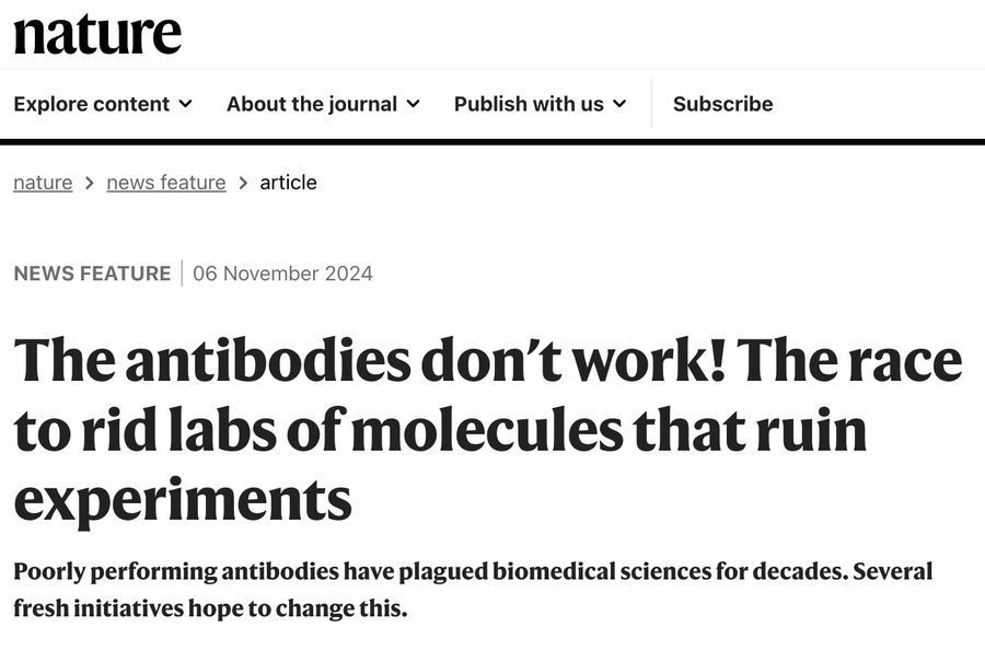 Many articles reported using an antibody ... that didn’t even bind the key protein in Laflamme’s testing. Those articles had been cited over 3,000 times.

A key question is:

◼️ 𝐂𝐚𝐧 𝐩𝐫𝐨𝐭𝐞𝐢𝐧 𝐛𝐢𝐧𝐝𝐞𝐫𝐬 𝐚𝐜𝐡𝐢𝐞𝐯𝐞 𝐡𝐢𝐠𝐡 𝐬𝐩𝐞𝐜𝐢𝐟𝐢𝐜𝐢𝐭𝐲 𝐟𝐨𝐫 𝐞𝐯𝐞𝐫𝐲