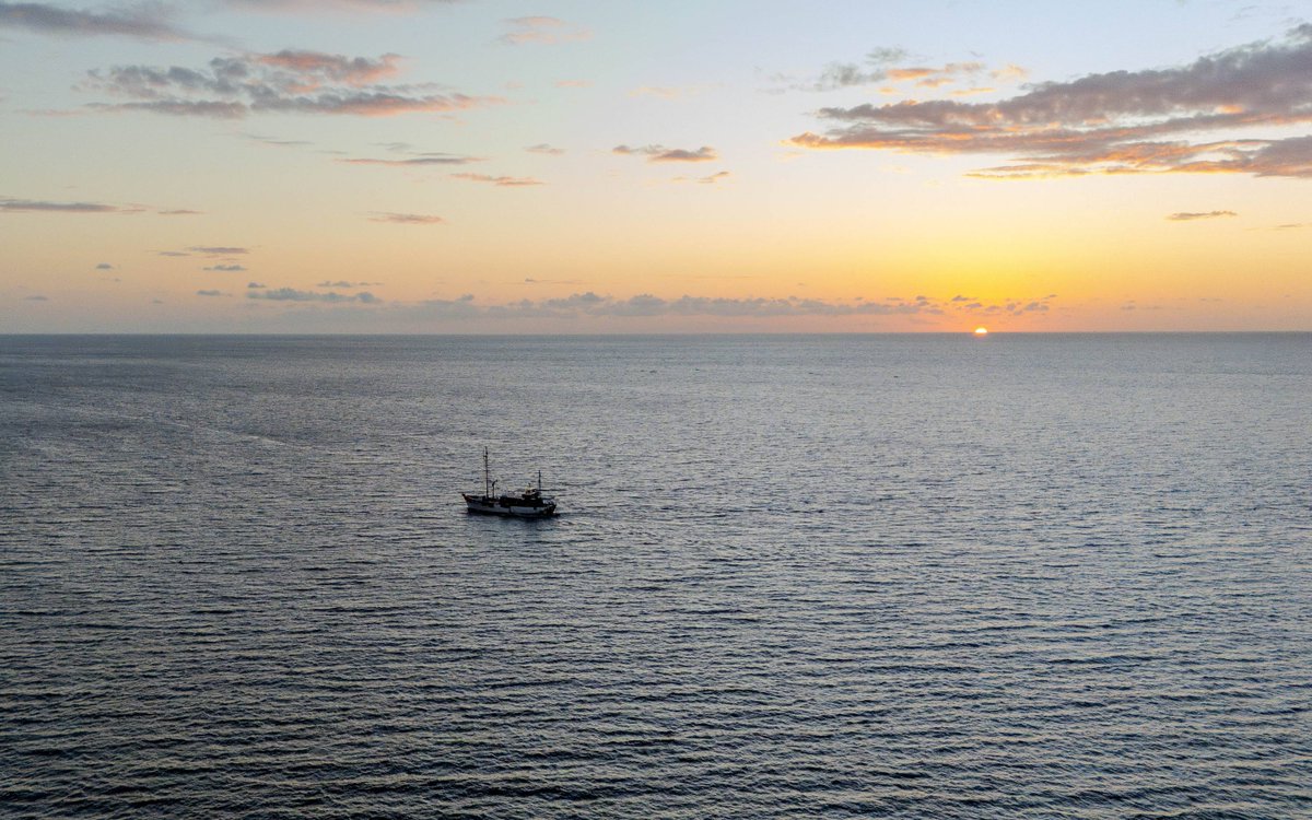 nektonmission's tweet photo. Wishing all our followers a wonderful end of the week. Enjoy this photo of a beautiful sun setting over this week's expedition activity in the Comoros. 

Follow the Mission: https://t.co/pBli1W7rVS

#FirstDescentComoros https://t.co/laElR3nXUq
