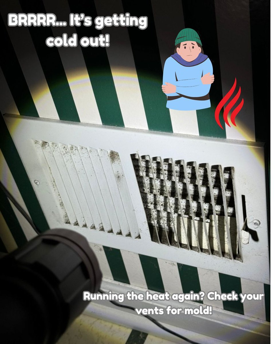 MrMoldRemoval's tweet image. It&apos;s getting chilly out here in Michigan! 🥶 

🔥 Running the heat again? Check your vents — moisture build-up = mold risk.

#FallTips #MrMold