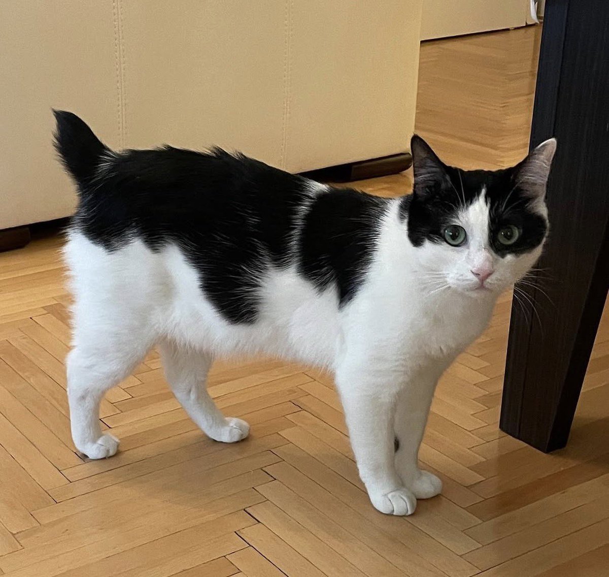 handisgo's tweet image. eksik parçası olduğu için defolu ürünler kısmından aldım. çok uyguna geldi