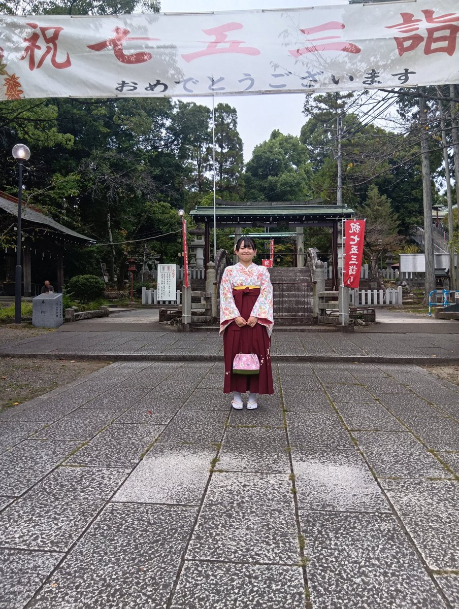 こまつ菜ページ トーホク コマツナ 照彩小松菜 ＜葉野菜の種＞の通販｜コマツナ
