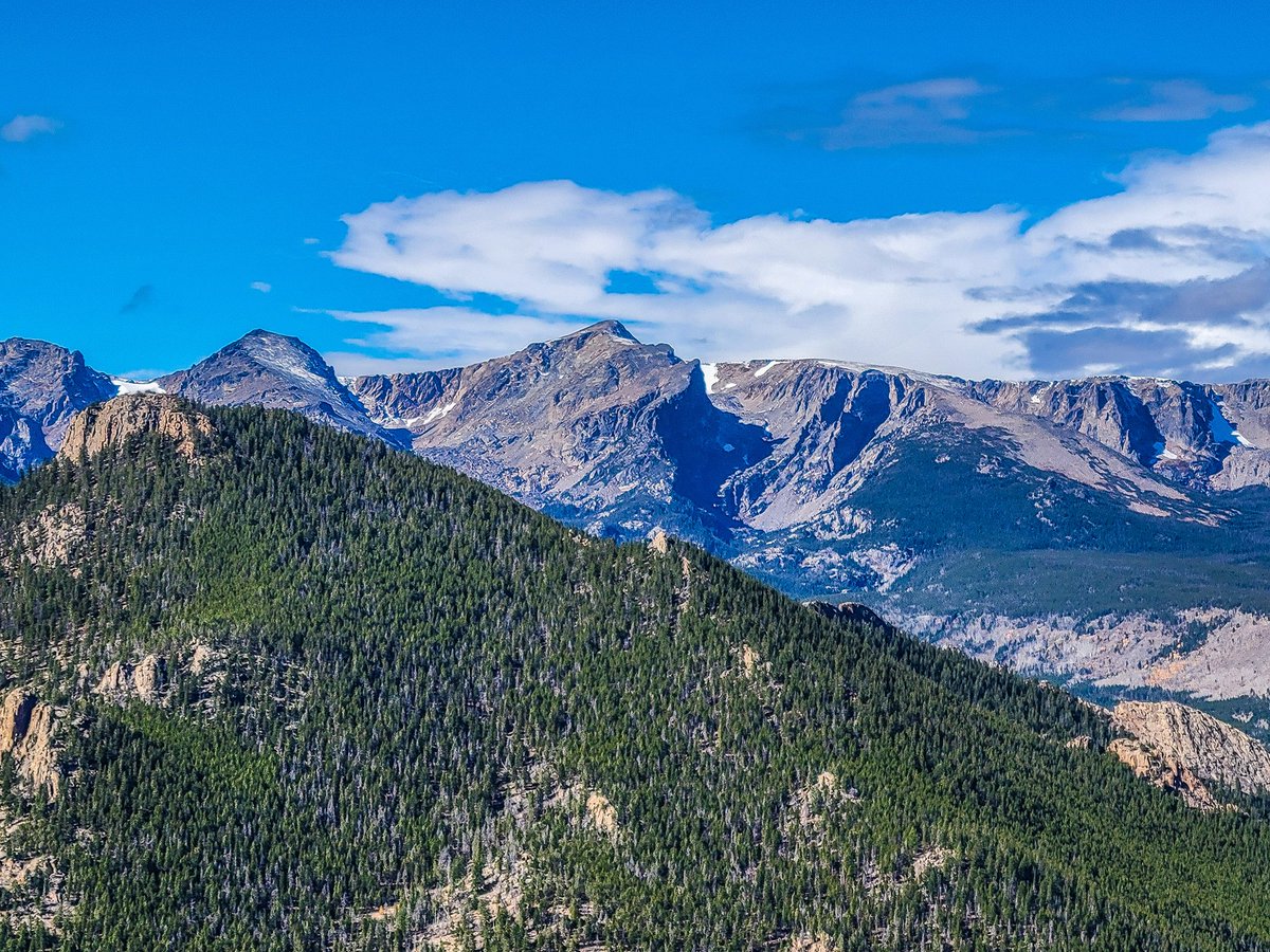 The Wild Monkey (@thewildmonkey2) on Twitter photo Happy Sunday, kids! Happy Sunday, kids!