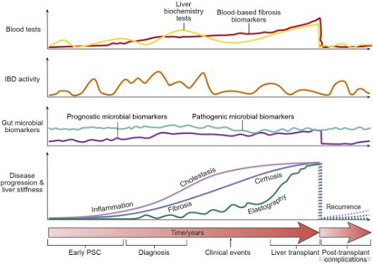 HEPATOLOGY Journal tweet media