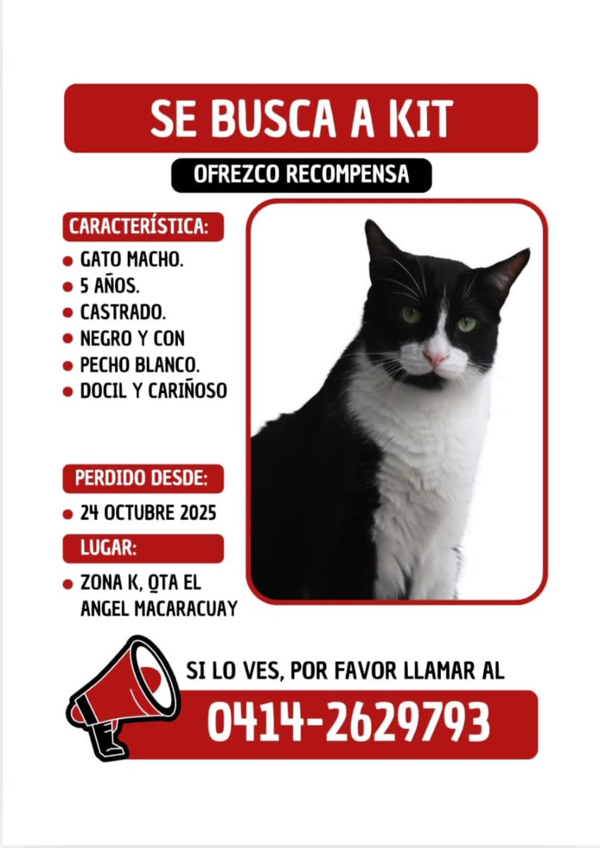 #Caracas
#Macaracuay
🚨🚨SE BUSCA🚨🚨
Favor difundir 🙏🏻🥹 
Gracias🇻🇪❤️