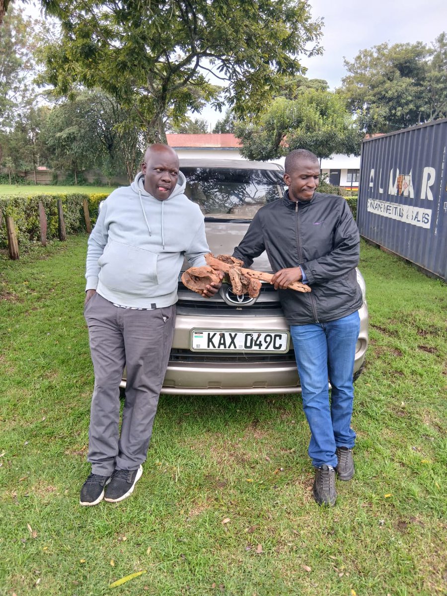 These chaps were arrested with Sandalwood,  DCI says its worth Ksh5M.. my question is, if Sandalwood is that expensive,  why can't we just grow them and make money as a country?. At some point Africans will have to stop this nonsense &amp; decide to get out of 3rd world rankings.