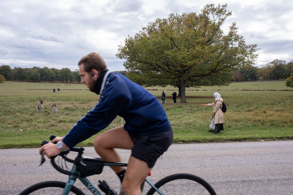 GonzoStreetPhotography tweet media