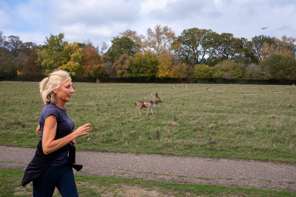 GonzoStreetPhotography tweet media