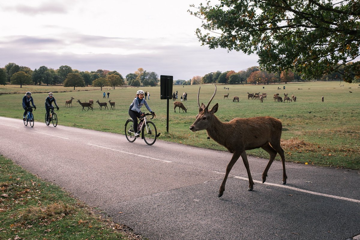 GonzoStreetPhotography tweet media