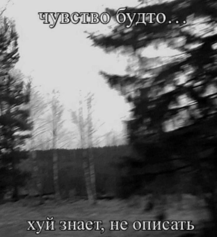 валери введенская. (@vvedenskaya_ler) on Twitter photo 