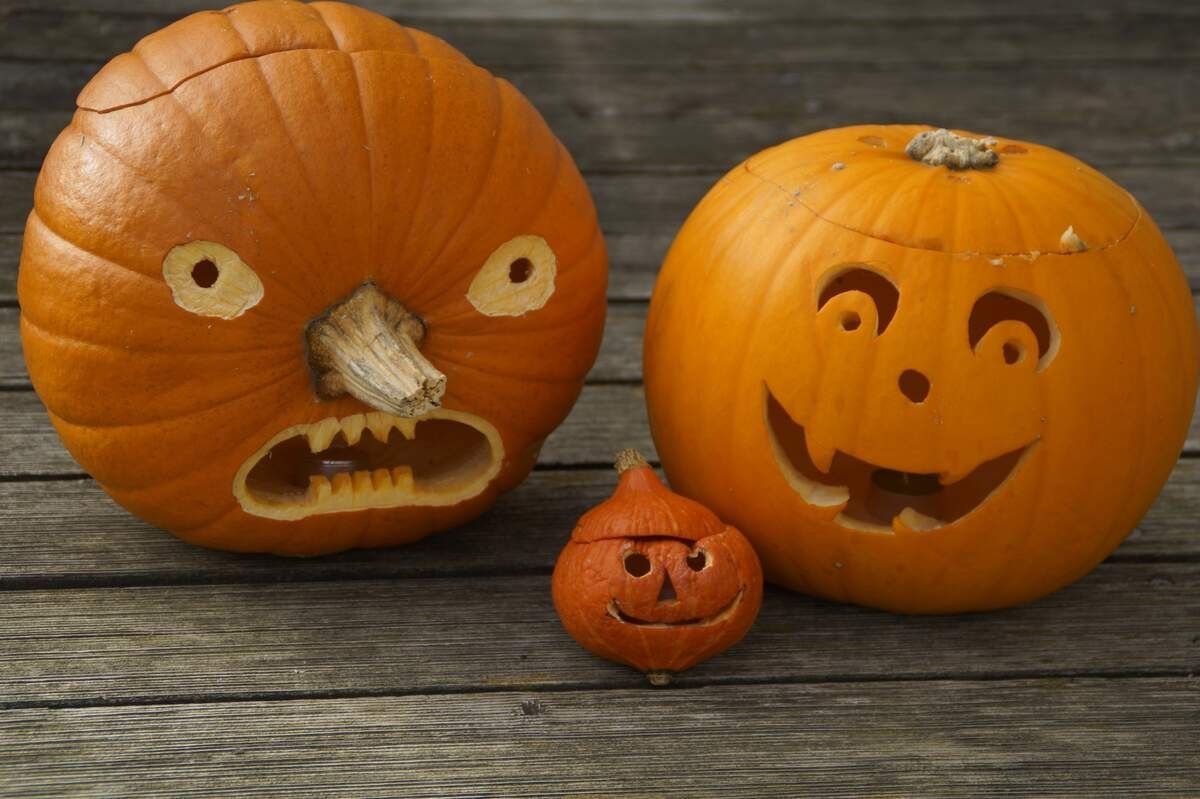 kc5fm's tweet photo. It's National Pumpkin Day! https://t.co/rDAEvG4KgC #PumpkinDay https://t.co/OhLooAhOdY