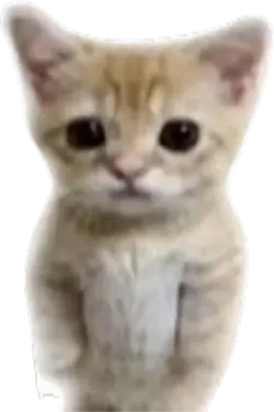 Skoltrax_'s tweet photo. @lunyaes_ Is that good? I've never been in a ranking https://t.co/xxl94ePzpi