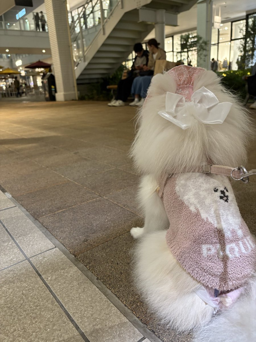 ☀プー☀ プププのプーさん プーさん ☀プー☀ プーさん ZX Fury 名作を融合