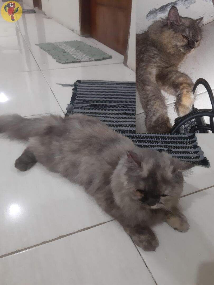 UNNES MENFESS🍌 tweet media