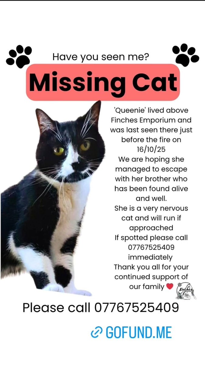 Do your thing X #se23