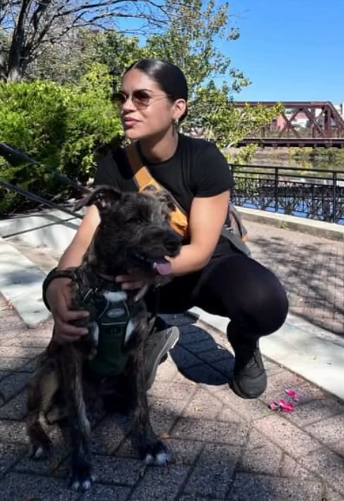 GTA expert tweet media