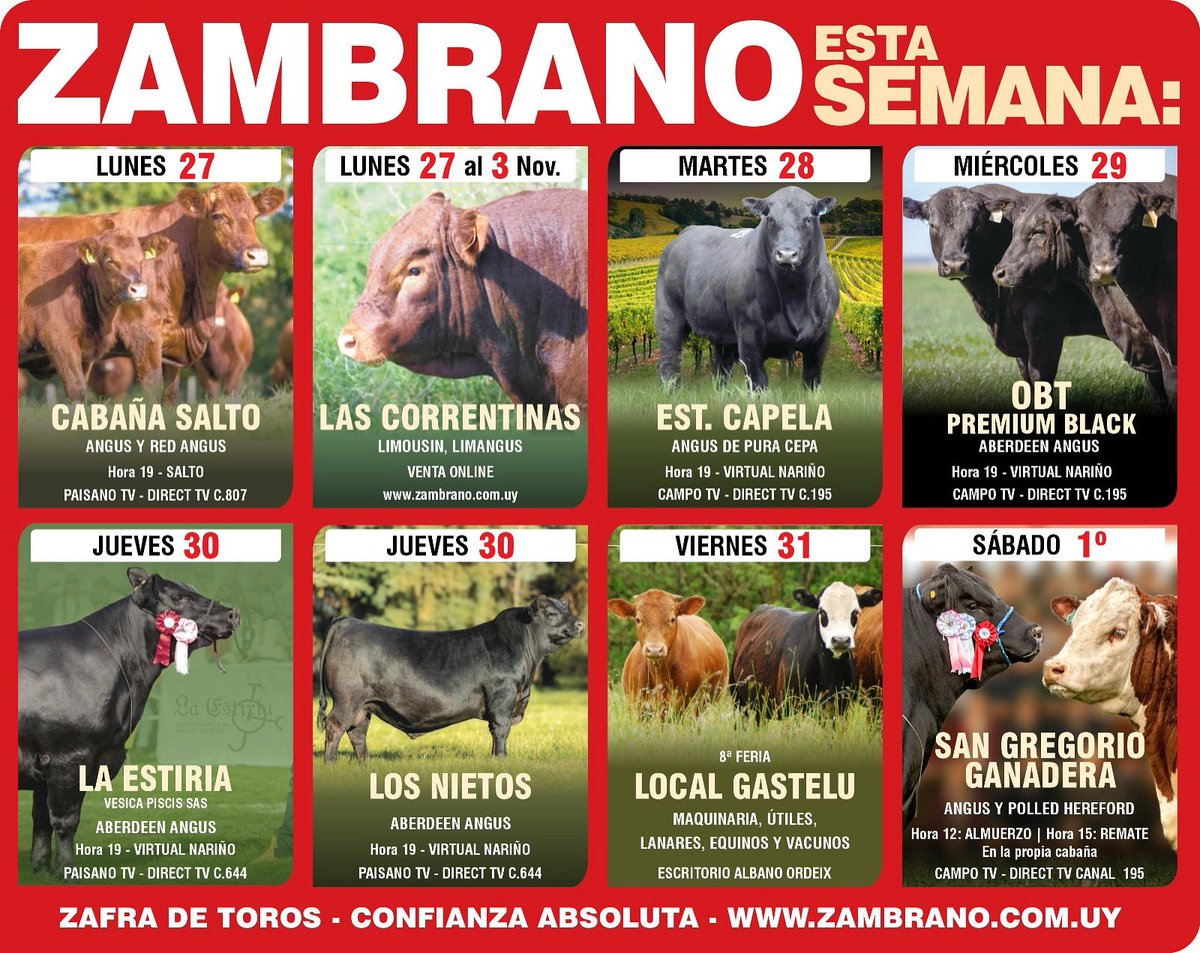 Zafra en marcha 👉🏻 #ZambranoRemata 
Presentamos los remates de esta semana 

✔️Cabañas líderes 
✔️Genética superior
✔️Confianza en cada martillazo 

Pre ofertas con beneficios exclusivos en zambrano.com.uy 

#somoszambrano #unlugardebuenosnegocios #confianza #zafradetoros