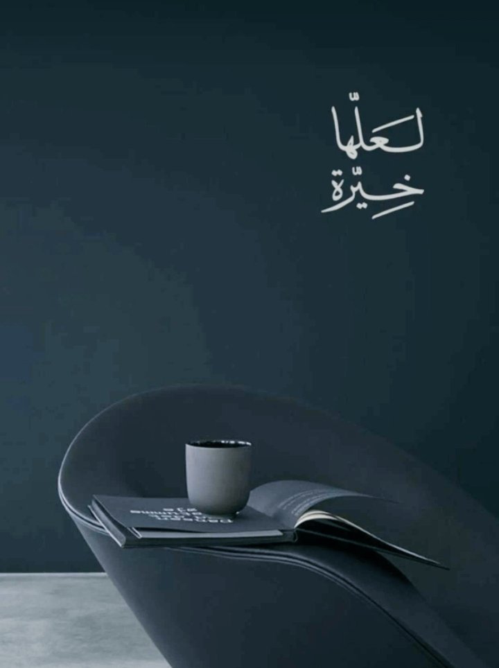 مصطفى tweet media