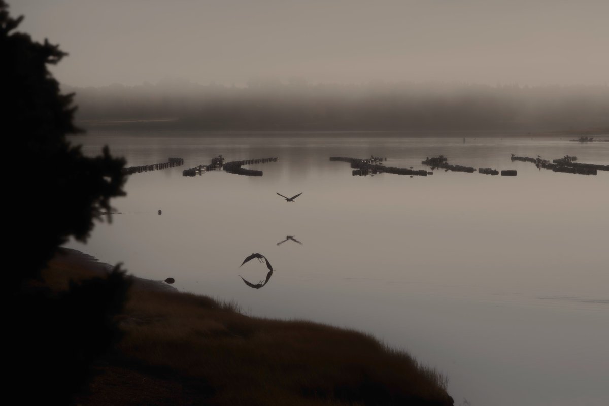 TrishaBourque's tweet image. Driving to work in the mornings, can be challenging. Pull over moments #PEI #GrandRiver