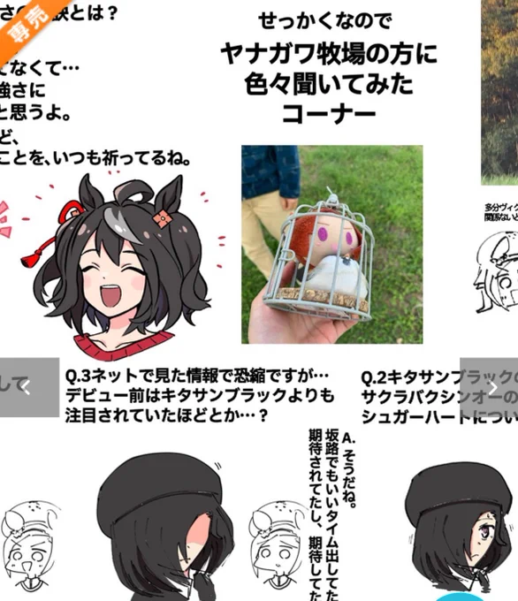 そのウマの名はラルクアンレーヴ。
シュガーハート、キタサンブラックと同じ生産牧場のウマです。

この子と、夢を。

🍈:https://t.co/t6BKXwOxzo 