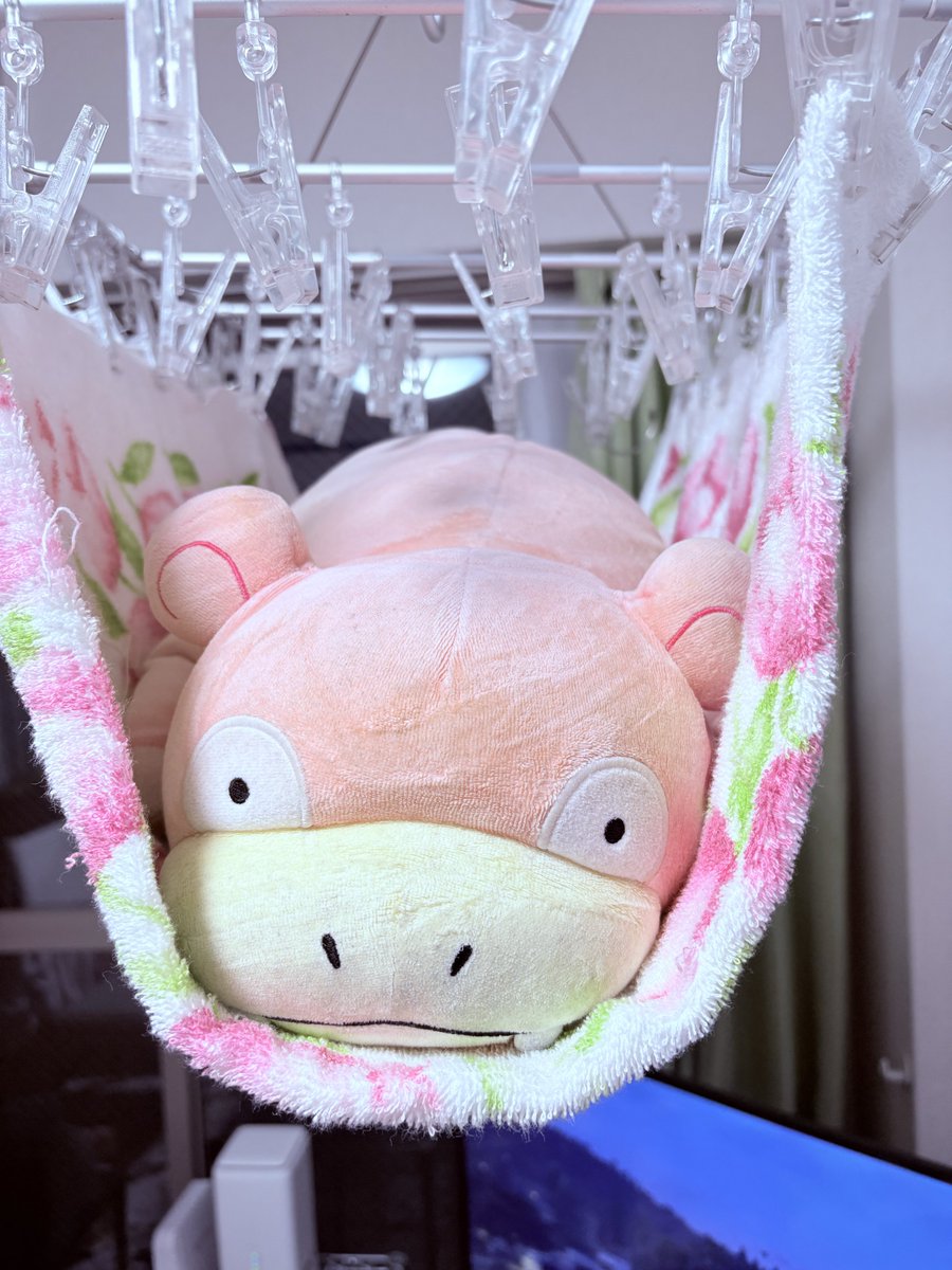 ヤドンちゃん レッツラGO🐉🍕 (@yado_yadochi) / Posts / X