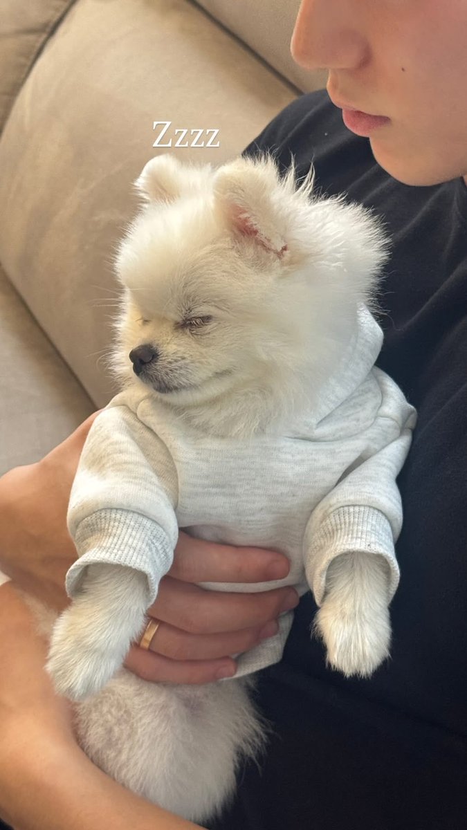 261025 | [📷] SAN (@\choi3an) Instagram Hikâye Güncellemesi 

"Uyuyor"

#ATEEZ #에이티즈 <a href="/ATEEZofficial/">ATEEZ(에이티즈)</a>