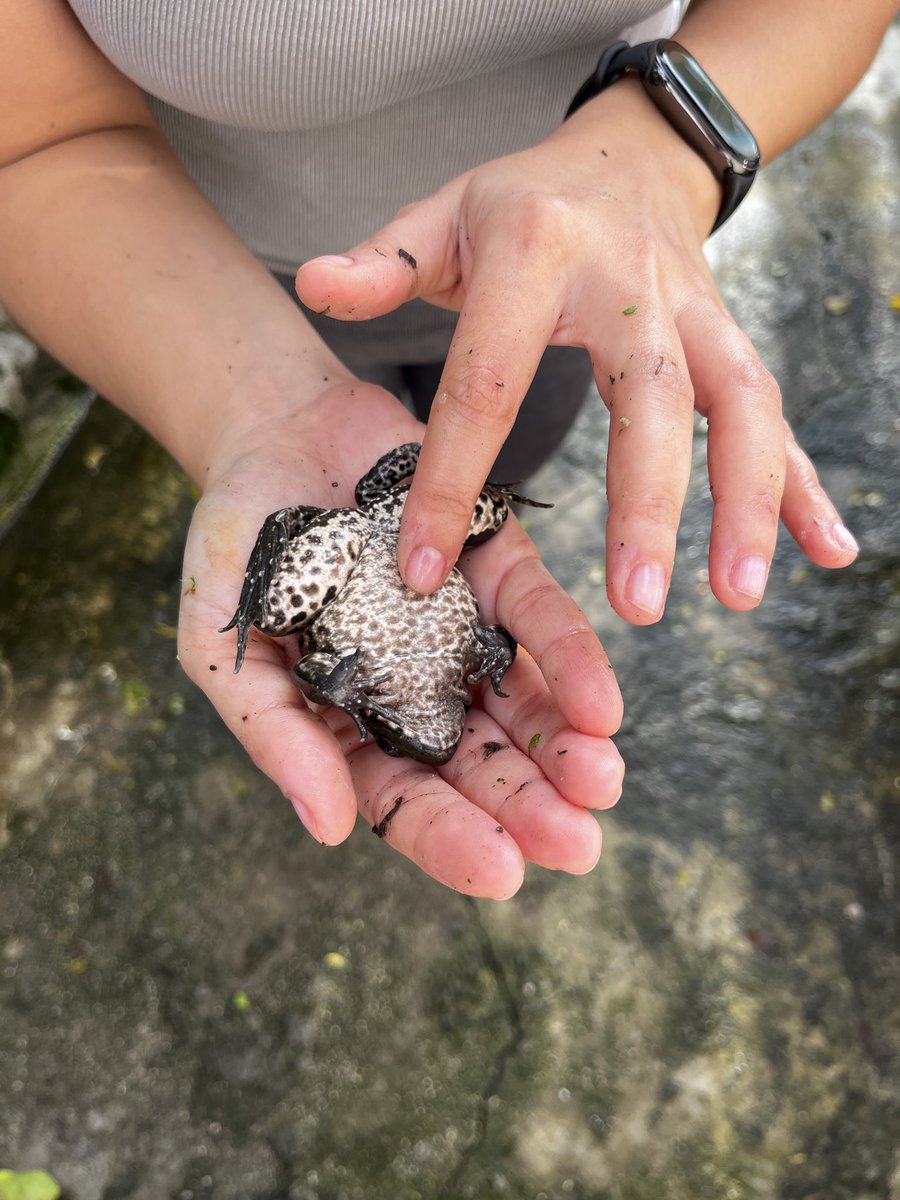 кто бегал у канавы за этим чудесным созданием? я, конечно же