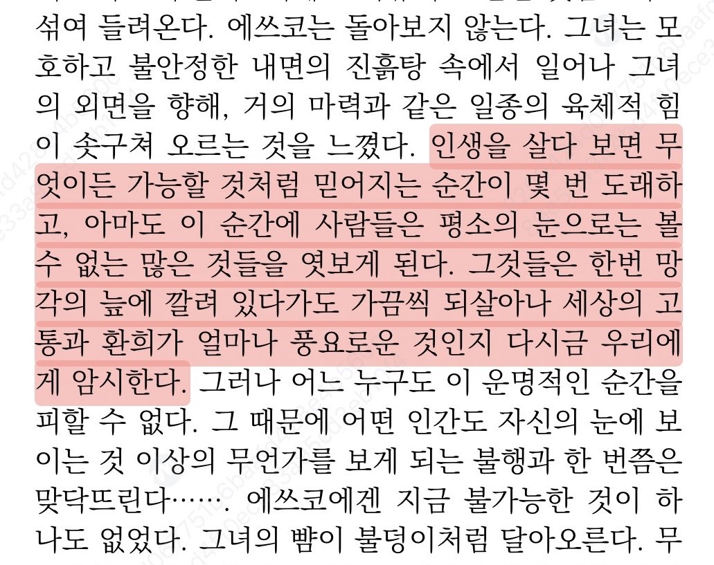 thxn2xt_'s tweet image. 나는 이제 이런... 어떤 지점에 다다른 문장을 보면 전두엽에 하드디스크처럼... 박아두고 싶음