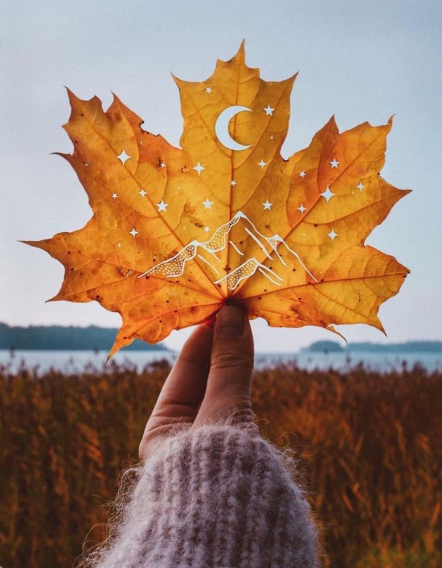 Der Herbst von seiner schönen Seite. 😊🍂🍁