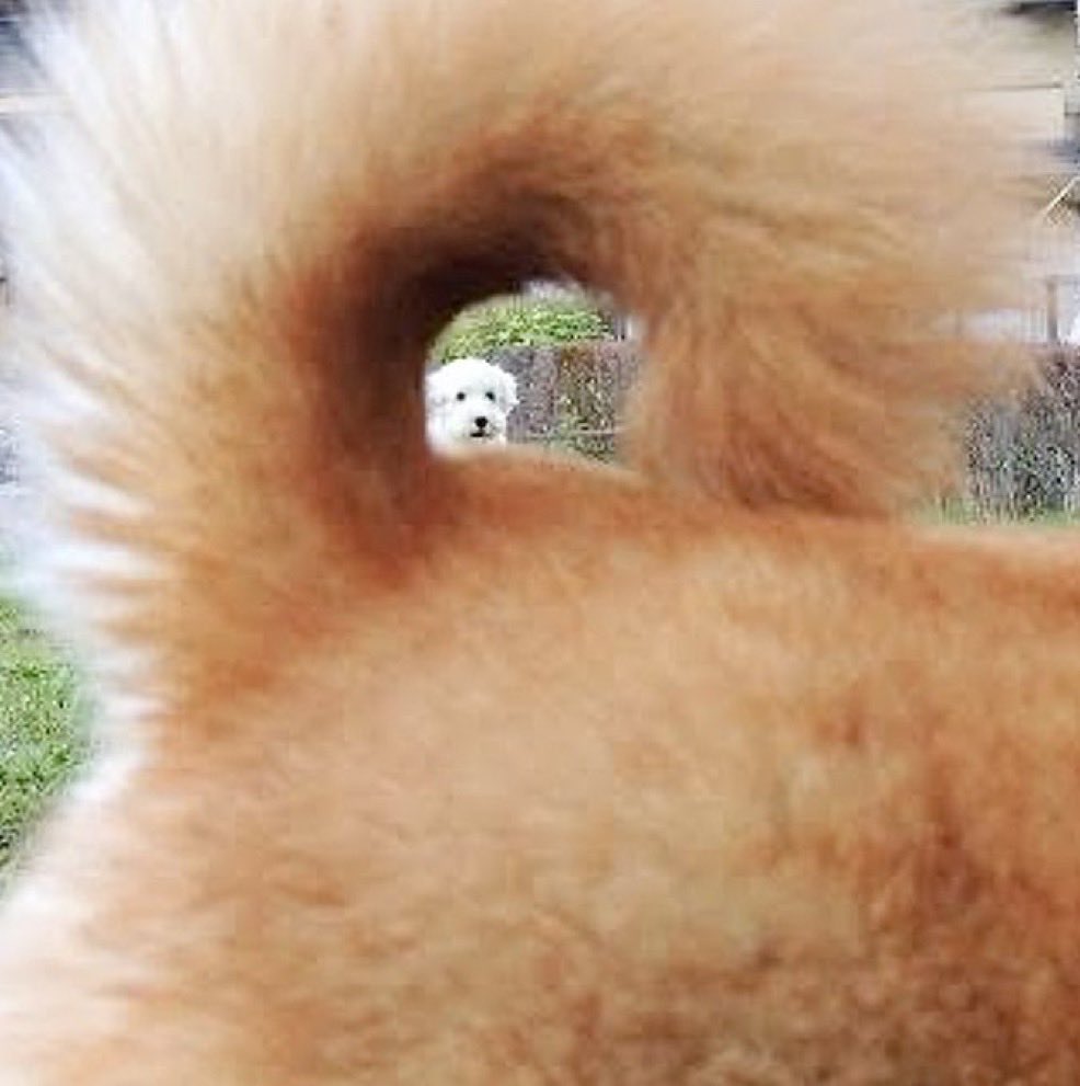 개병규 tweet media