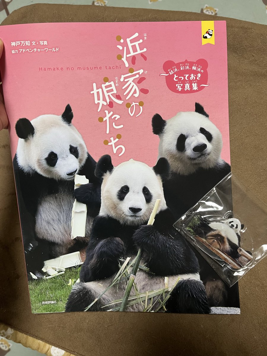 うちにも浜家の娘たち届きましたー💓
めっちゃ可愛いー🐼🐼🐼💕

癒されました！
本当に尊い娘たちだ💓

#神戸万知 さま
#アドベンチャーワールド