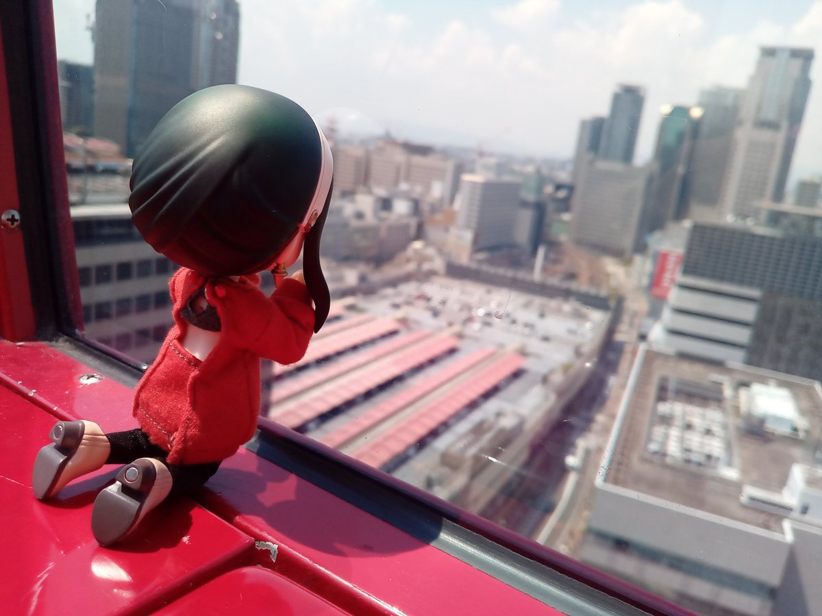 #深夜のねんどろ撮影60分一本勝負

10/26 【あんぐる:うしろから】フライング (既出)

観覧車の中から見る景色にワクワクなヨルさん❤️✨
うしろからでもワクワク伝わってくる❤️✨

#スパイファミリー #SPY_FAMILY
#ヨル・フォージャー