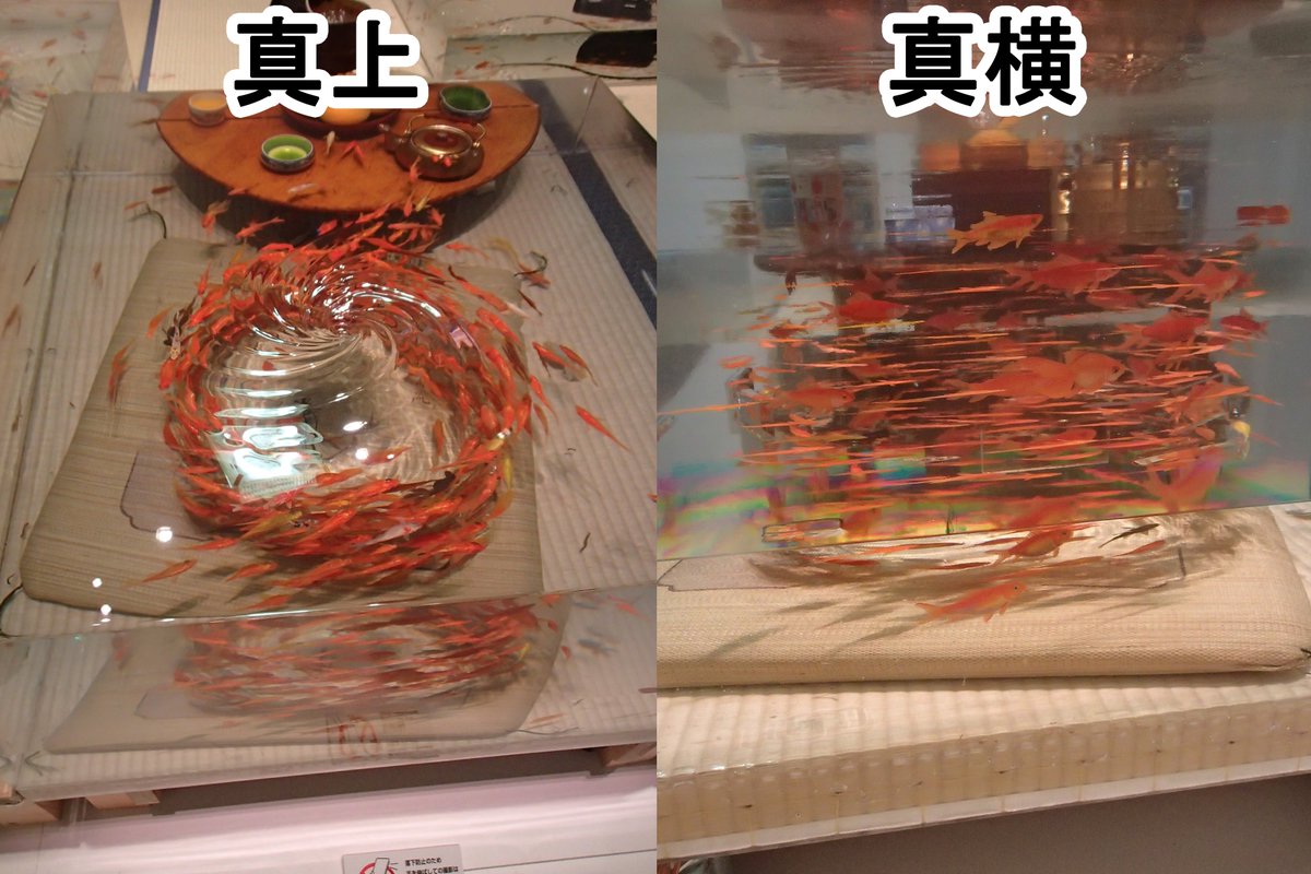硯　金魚と水草の浮彫り 硯 金魚と水草の浮彫り