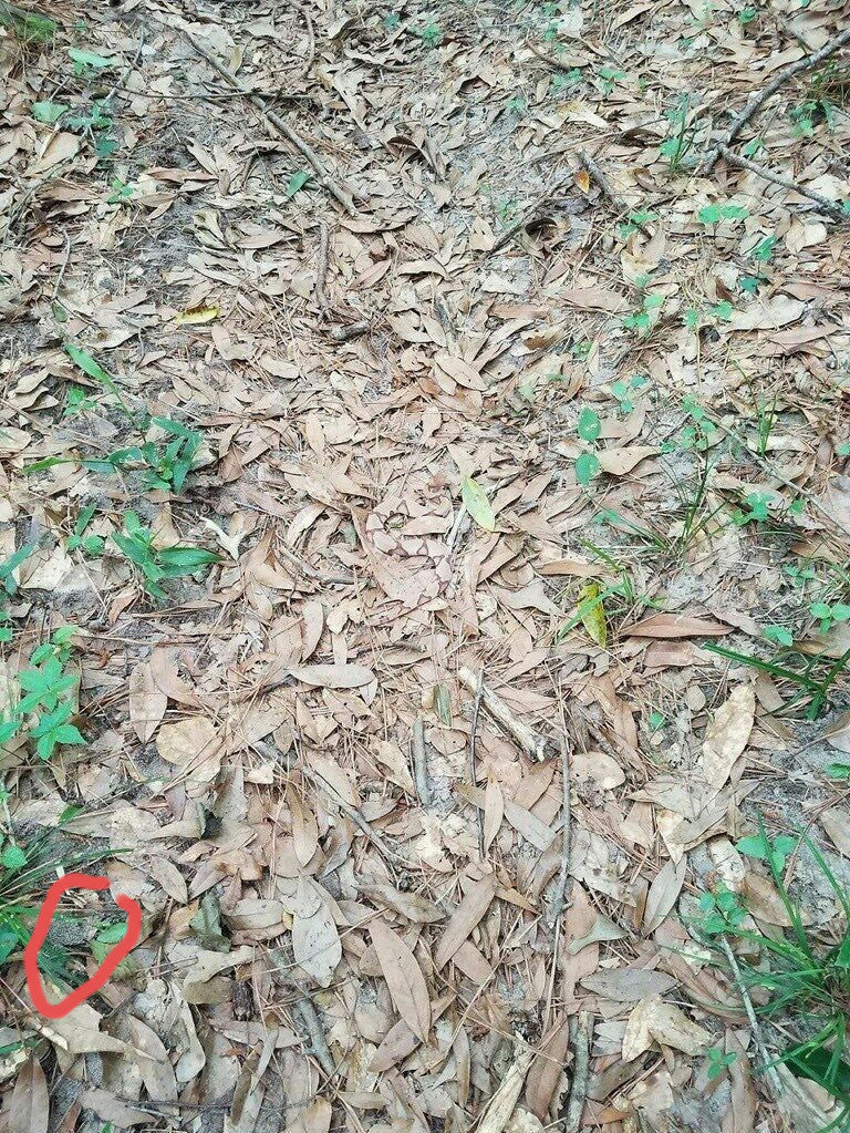 فارس المحمدي FaresAlmohamadi  tweet media