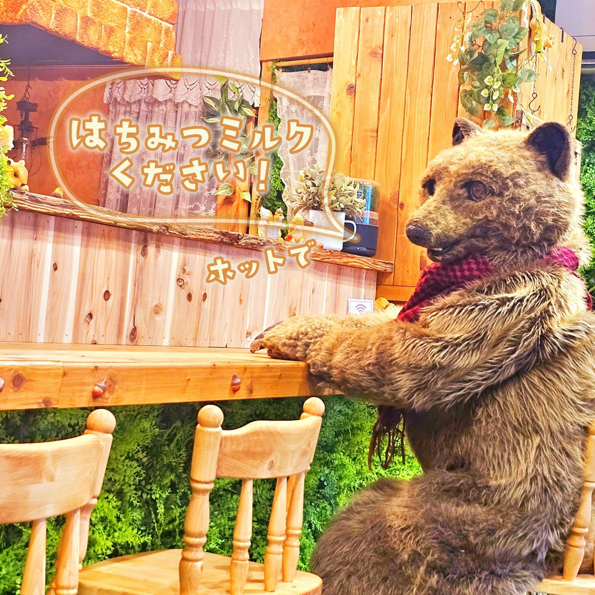 ▼ みどりのくまちゃんページ△ ▽ みどりのくまちゃんページ△ 森ののくまちゃんの既刊一覧 | 【